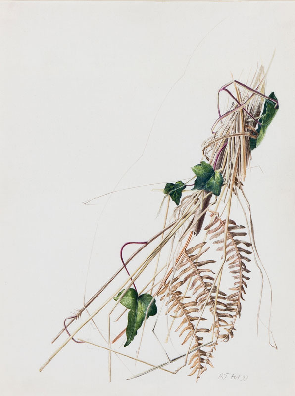 John Rabbacca JOHN Rebecca (b.1947) – ‘From the Hedgerow, Ty Draw, February 1999 ...