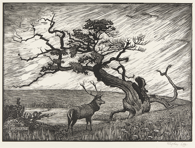 LEE Sydney R.A. S.W.E. (1866-1949) – ‘The Oak and the Stag’ (RM ...