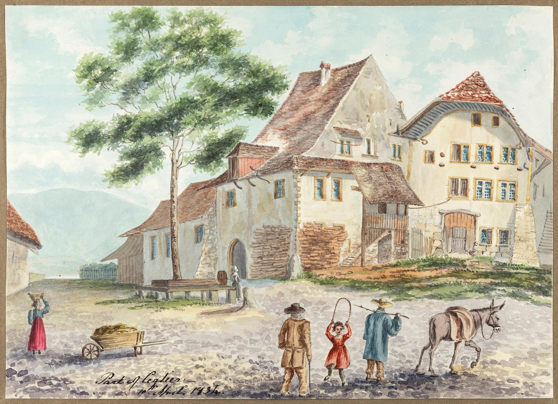 17207